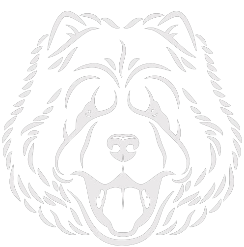 norvec-pet-beyaz-logo